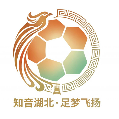 湖北省城市足球联赛 随州炎炎队VS鄂州临空队20260523