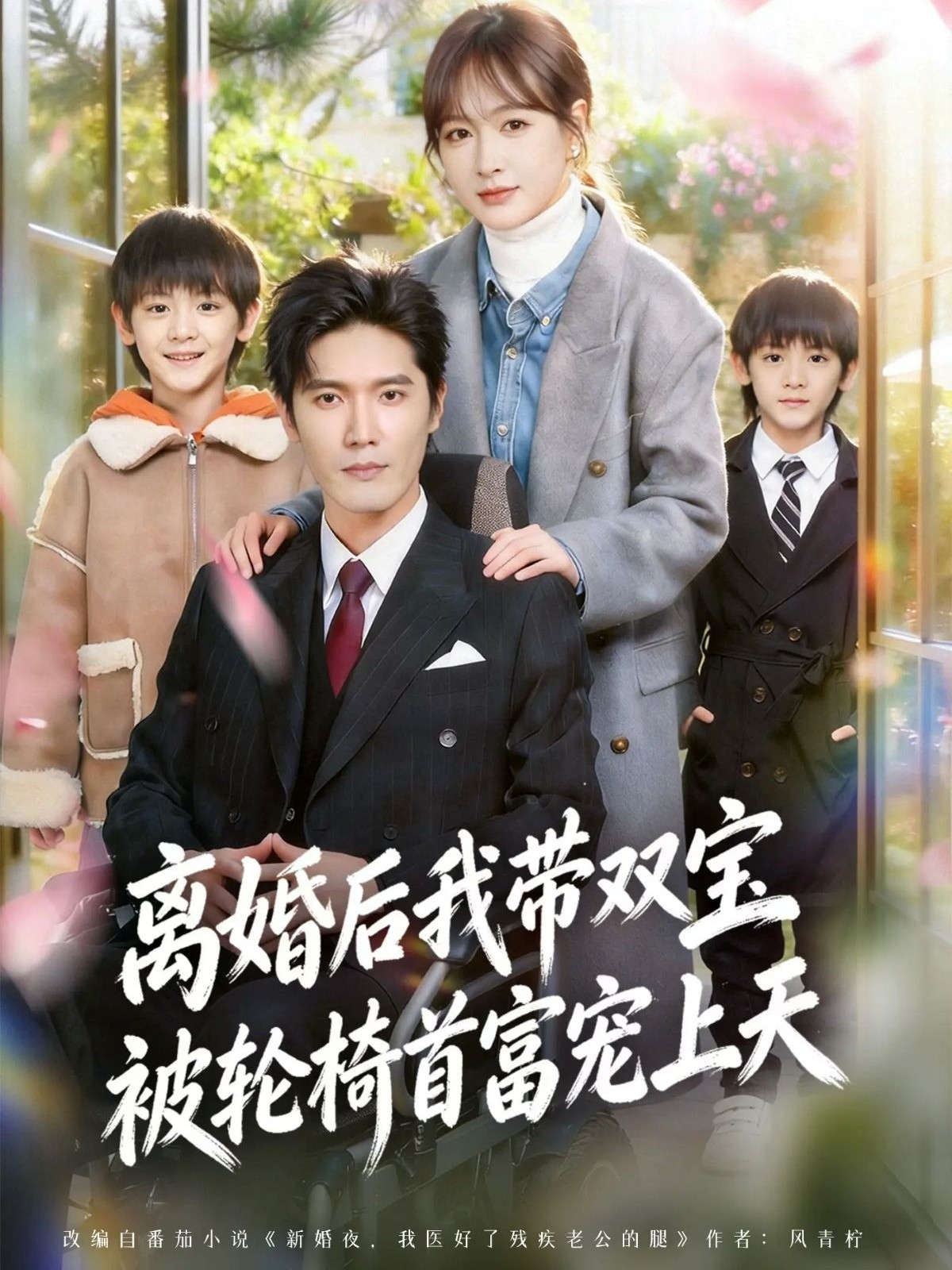 离婚后，我被轮椅首富宠上天