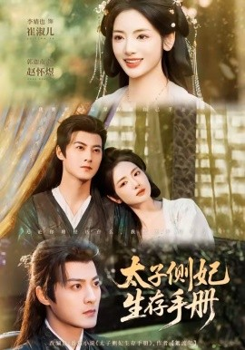 太子侧妃生存手册