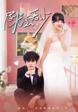 惊！我家来福变恶少了 忠犬变恶少